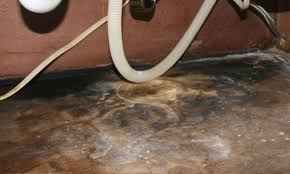 cleaning black mold ..step by