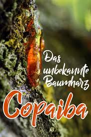 Copaiba Ol Bei Hautproblemen Und Entzundungen Am Zahnfleisch In 2020 Zahnfleisch Zahnheilkunde Gut Leben