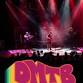 Dave Matthews Tribute Band