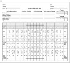 Modified Triadan System An Overview Sciencedirect Topics