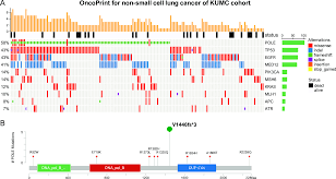 But the list doesn't end there, and some cancers even share a cancer color. Plos One High Polymerase E Expression Associated With Increased Cd8 T Cells Improves Survival In Patients With Non Small Cell Lung Cancer