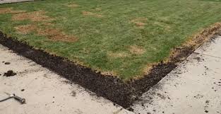 I know (now) that the best time to overseed a lawn is in the fall. How To Overseed Lawn Without Aerating Top Tips And Tricks Turf Till