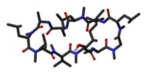 Single dose pharmacokinetics of ciclosporin and its main metabolites after oral ciclosporin as oily solution or capsule. Ciclosporin Wikipedia