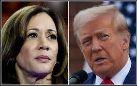 Nancy Veeneman's Instagram, Twitter & Facebook