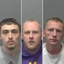 During the past #16Days of Action, three men have been jailed for domestic  abuse offences in Bedfordshire. Mark Hannell, 27, of no fixed abode, was  sentenced to three years at Luton Court