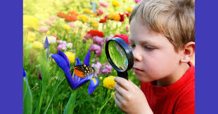 Incredible Insects Class Date: Saturday, July 12, 2025 Time: 11:00 am