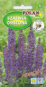 Jest mało wymagająca i doskonale znosi gorsze warunki uprawy, z tego względu często wykorzystywana jest w nasadzeniach zieleni. Szalwia Omszona Violet Queen 200mg Salvia Nemorosa Nasiona Agromarket24 Pl