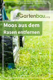 Moos Im Rasen Ursachen Methoden Tipps Moos Im Rasen Rasen Moos Im Rasen Entfernen