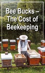 Bee Bucks The Cost Of Beekeeping Bienen Imker