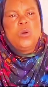 North American Pavement Shaboone