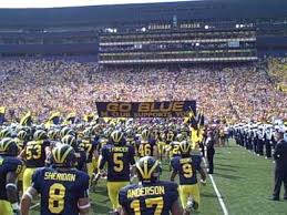 Image result for Michigan Blue 2009 Fleet