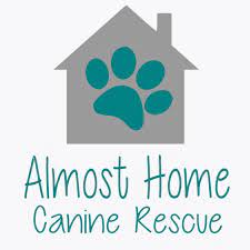 Rescue sioux falls sd, area humane society pets for adoption, aspca animals for sale, aspca christmas. Pets For Adoption At Almost Home Canine Rescue In Sioux Falls Sd Petfinder