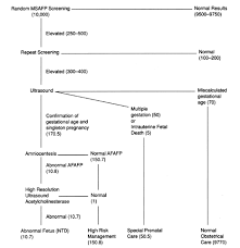 Volume 3 Chapter 116 Alpha Fetoprotein And Neural Tube Defects