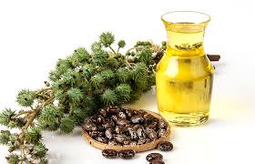Is It Safe To Use Castor Oil During Pregnancy