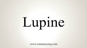 הגייה על lupine עם 1 הגיית אודיו, 15 מילים נרדפות, 1 משמעות, 2 תרגומים, 4 משפטים ועוד lupine. How To Pronounce Lupine Youtube