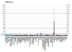 C Reactive Protein Wikipedia