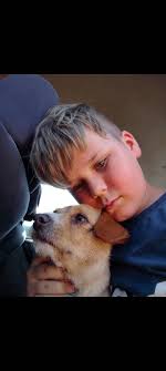 Please if anyone visited morley today and picked up this teddy dog please  can you get in touch it's my little girls I can collect please 🙏💔💕