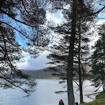 Wild Mountain Retreat; Loch Ossian — Wild Roots