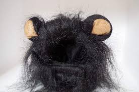 Buy the best and latest cat lion mane on banggood.com offer the quality cat lion mane on sale with worldwide free shipping. Econoled Pet Costume Lion Mane Wig For Dog Cat Halloween Dress Up With Ears Us Seller See This Great Pr Pet Costumes Diy Dog Costumes Cat Halloween Costume