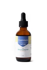 Image result for Cryptolepis products