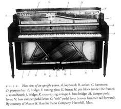 Anatomy Of The Piano Anatomy Drawing Diagram