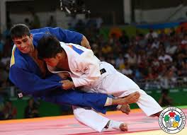 We did not find results for: Judoinside Judo Throws Judoka