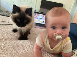 Copper Mountain Forge (@coppermountainforgejewelry) · Hamilton, MT