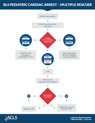 Guidelines are provided for ensuring cpr quality. Bls Pediatric Cardiac Arrest Algorithm Multi Rescuer Acls Com Resources