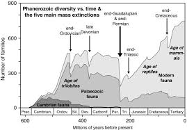 Mass Extinction An Overview Sciencedirect Topics