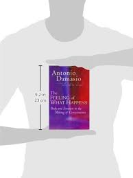 The publication of this book is an event in the making. The Feeling Of What Happens Body And Emotion In The Making Of Consciousness Damasio Antonio Amazon De Bucher