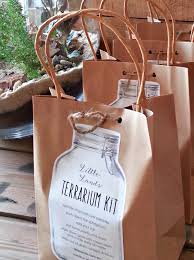 Diy Terrarium Kit Diy Terrarium Kit Terrariums Kits Terrarium Diy