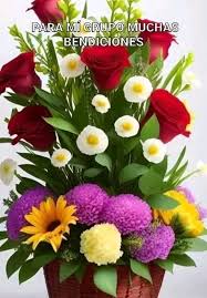 ROSAS HERMOSAS Y MAS