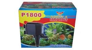 Pin Di Ikan Hias