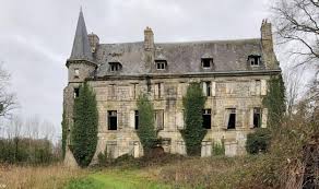 Une ruine en pierre, le reste des parcelles en nature de bois. Agence Bretagne Presse