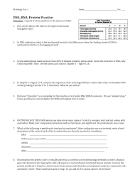 Dna Rna Protein Practice Hwk