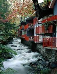 Pin On Gatlinburg Tn