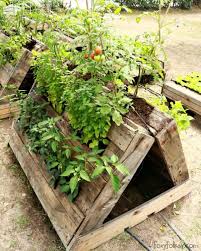 Maybe you would like to learn more about one of these? The Most Perfect Raised Garden Beds Made Out Of Pallets 1001 Pallets