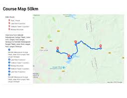 Mantin ultra trail virtual run 2020. Katsuo Stamina Titi Ultra 2021