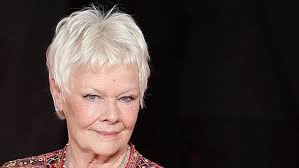 Glamorous Dames Judi Dench and Maggie Smith joke around at The Second Best  Exotic Marigold Hotel premiere in London