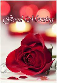 Check spelling or type a new query. Good Morning Flower Pour Android Telechargez L Apk