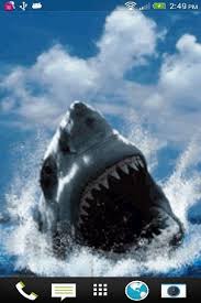Shark Attack Live Wallpaper Free App Download Android Freeware White Sharks Shark Great White Shark