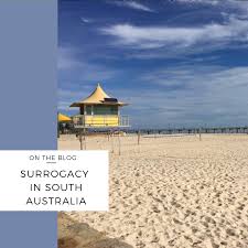 How to become a surrogate in australia. South Australia Surrogacy Law Reform Update Sarah Jefford