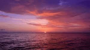 Good morning animated gif images beautiful good morning wallpapers good night g. Perfect Nature Gifs Get The Best Gif On Giphy