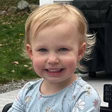 Diet and MCT oil for dog seizures?