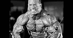 Rx Muscle Presents Dave Palumbo Q A Glutamine Acne Cardio Cardio Acne Muscle
