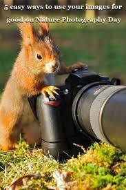 5 Easy Ways To Use Your Images For Good On Nature Photography Day Nature Photography Photography Day Photography