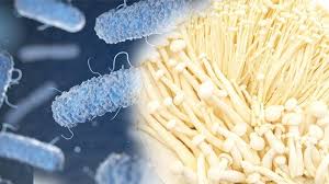 Rancanumpang, gedebage, kota bandung, jawa barat. Https M Tribunnews Com Sains 2021 01 06 Dewi Harus Tidur Hingga Larut Malam Mengerjakan Animasi Https Cdn 2 Tstatic Net Tribunnews Foto Bank Images Film Animasi Unstring Your Heart Jpg Salah Seorang Siswa Smk Raden Umar Said Rus Kabupaten