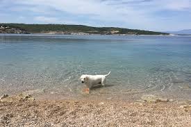 Info, standort, landkarte, bilder und wassertemperatur einiger von der populärsten strände auf der insel krk. Insel Krk In Kroatien