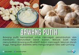 Bawang putih, bahan alami yang selama ini hanya lebih dikenal sebagai bumbu ini ternyata juga memiliki berbagai macam manfaat, sayangnya tak banyak yang tau. Khasiat Bawang Putih Sitik S Blog