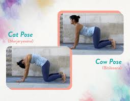 This exercise helps the baby drop away from the lower back. 7 Safe Prenatal Yoga Poses For The First Trimester